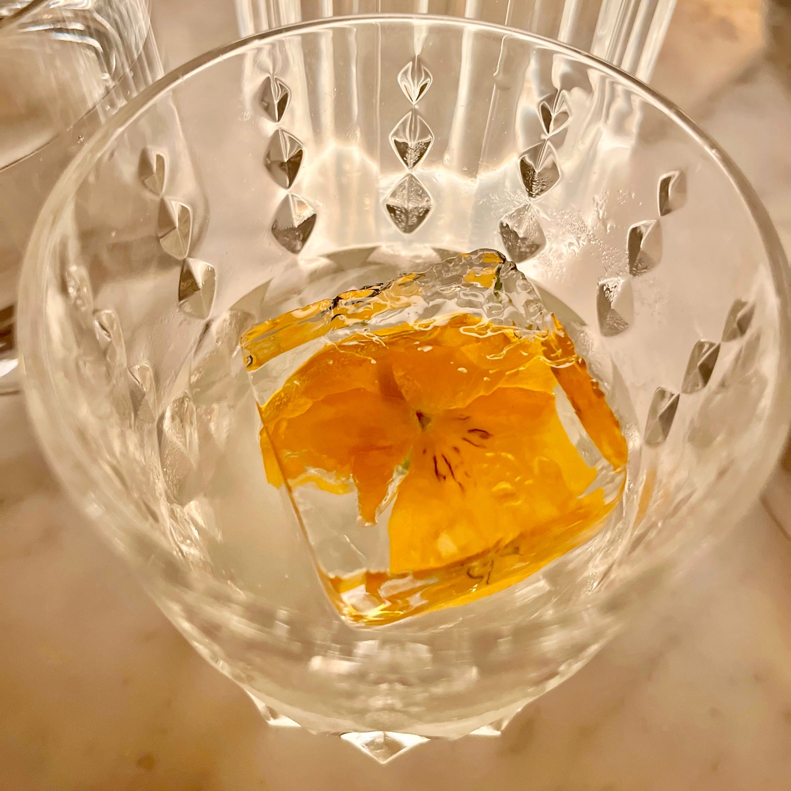 CocktailTourMilkPunch