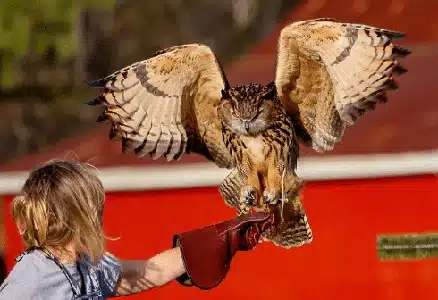 20+ Things To Do In Nashville 3