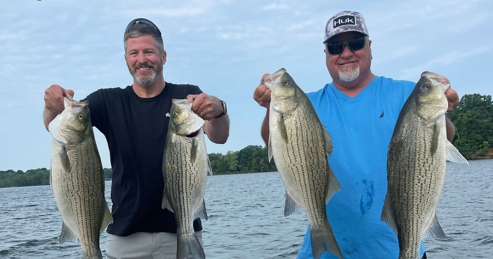 Striped Bass Fishing